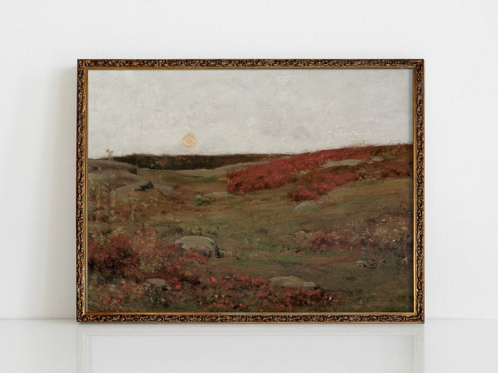 Autumn Sunrise