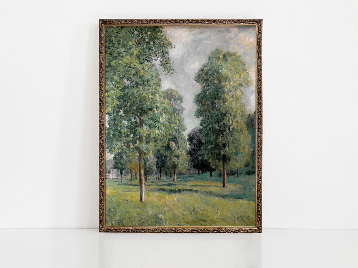 Park Trees