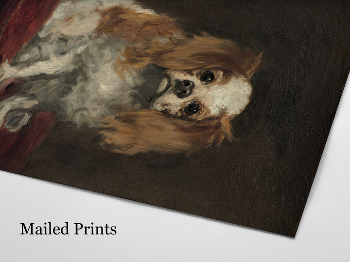 Spaniel