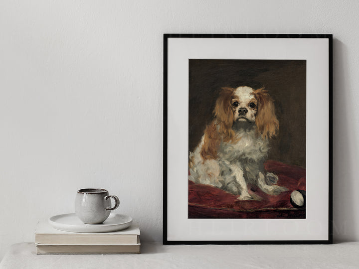 Spaniel