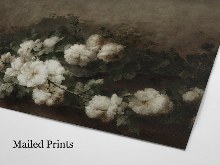 Still Life Roses