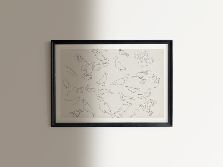 Birds