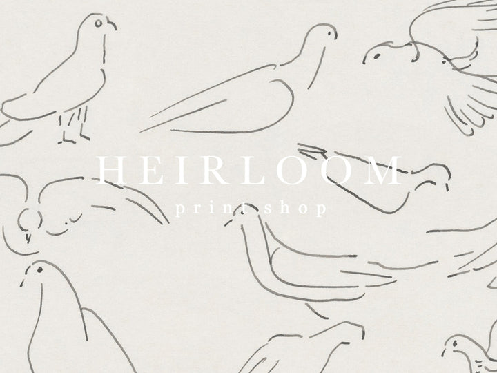 Birds