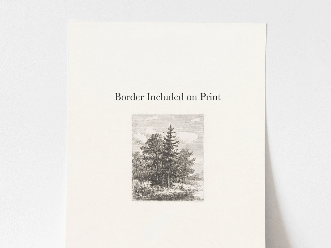 Forest Etchings