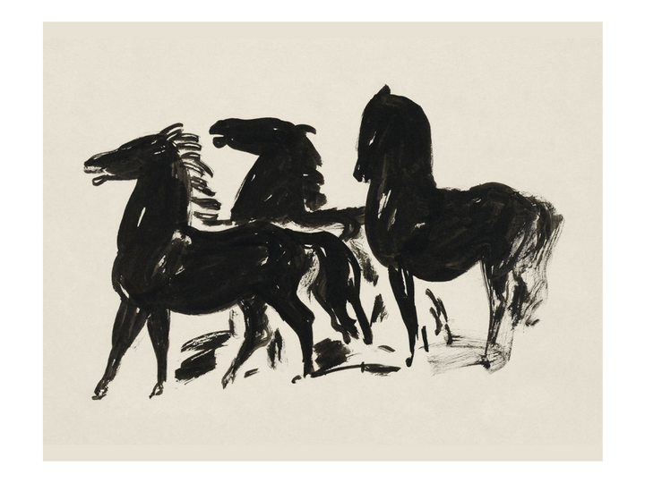 Brumbies