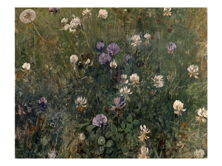 Clover