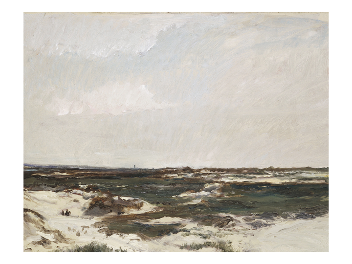 Coastal Dunes