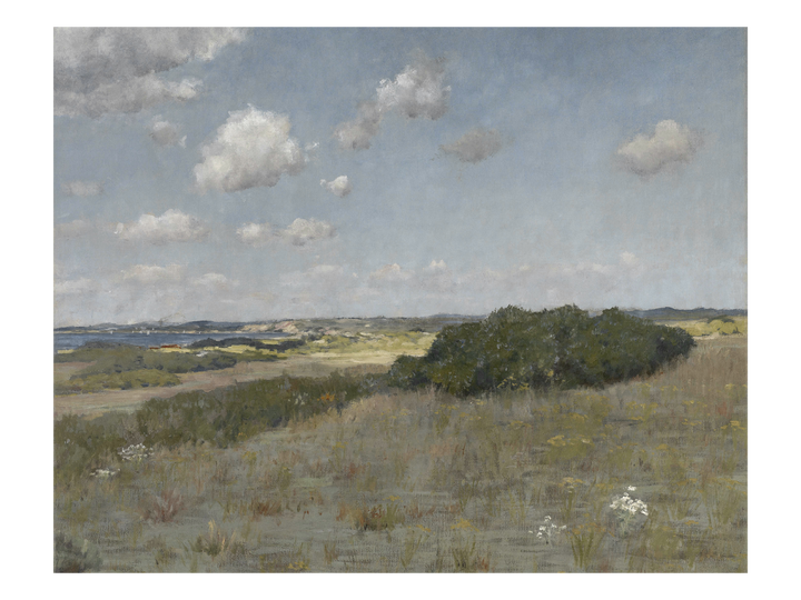 Coastal Plains
