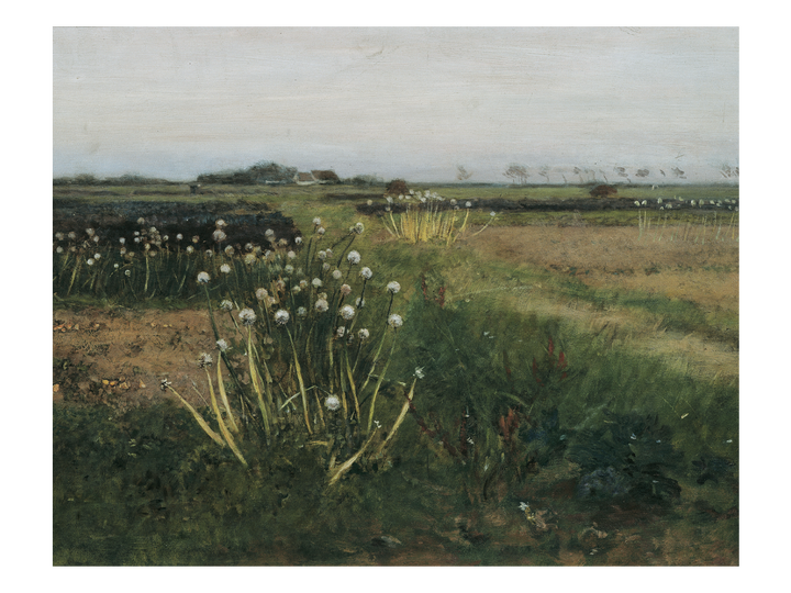 Field