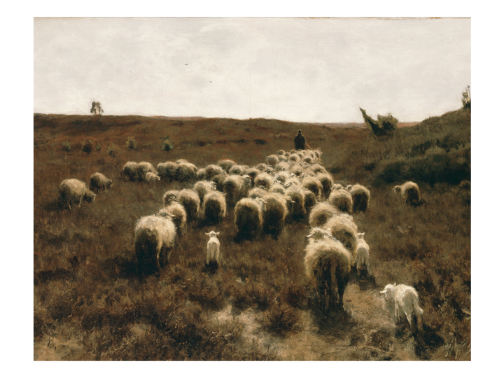 Flock