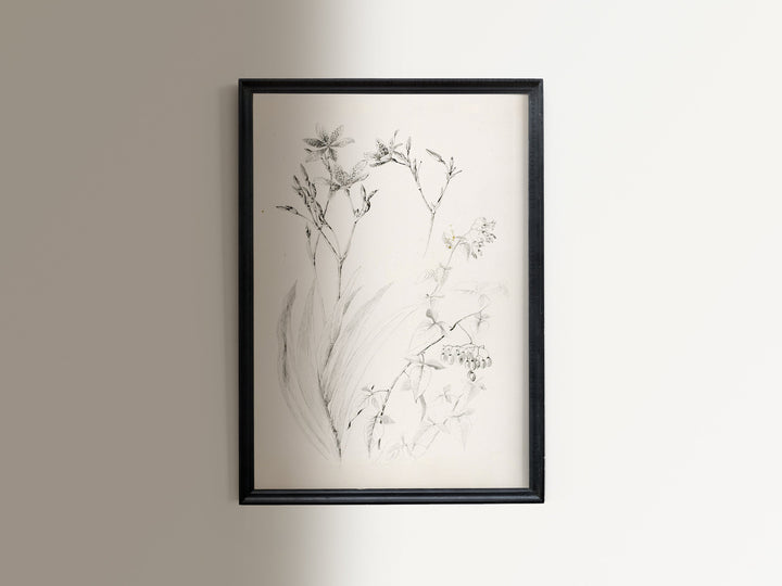 Floral Sketch I