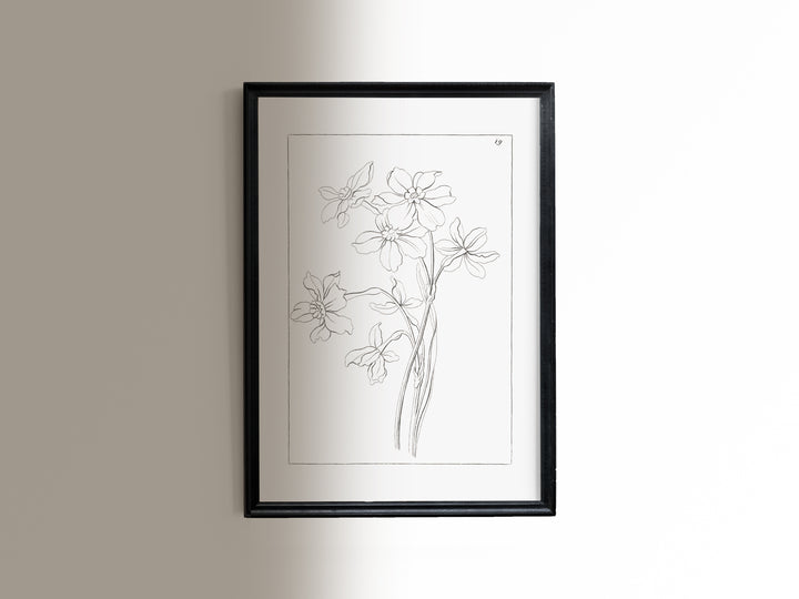 Flower Stems