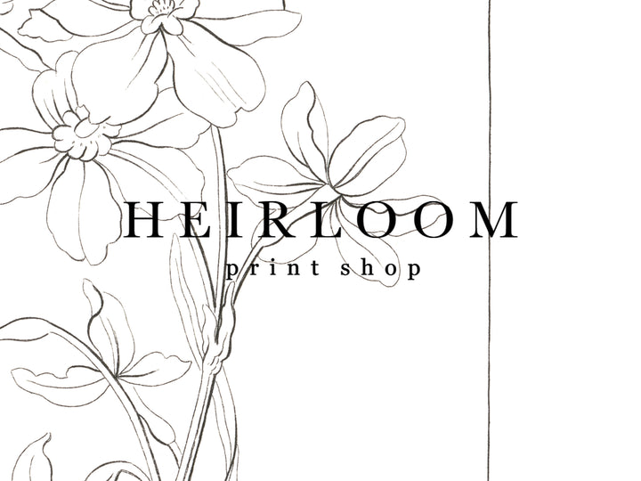 Flower Stems