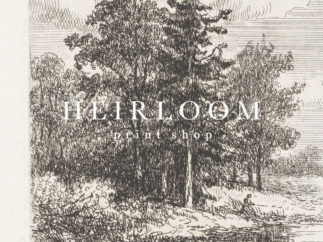 Forest Etchings