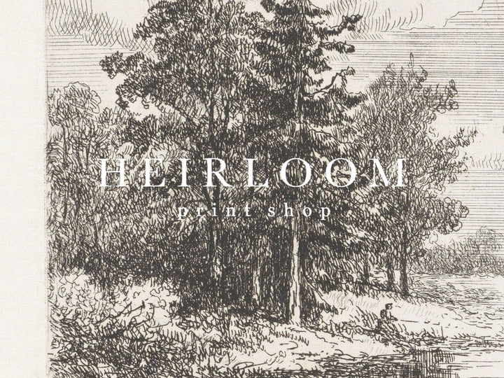 Forest Etchings