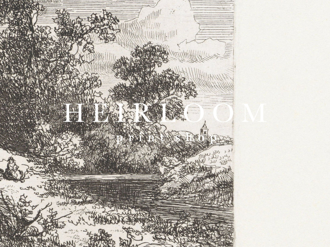 Forest Etchings