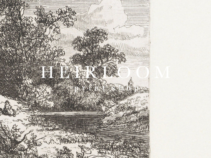 Forest Etchings