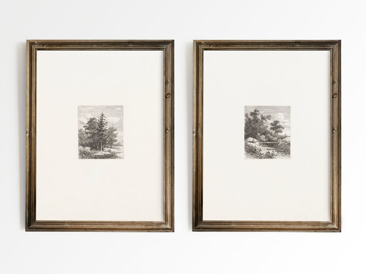 Forest Etchings