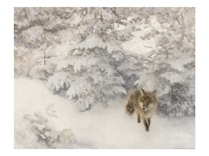 Forest Fox