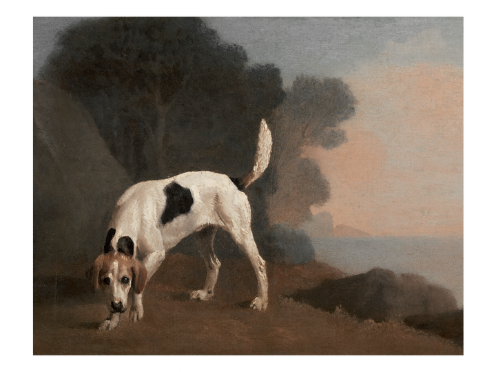 Foxhound