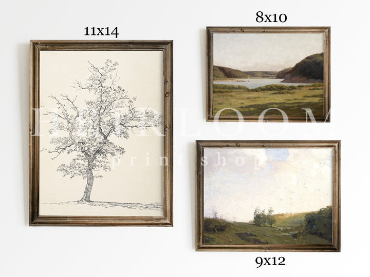 Gallery Two