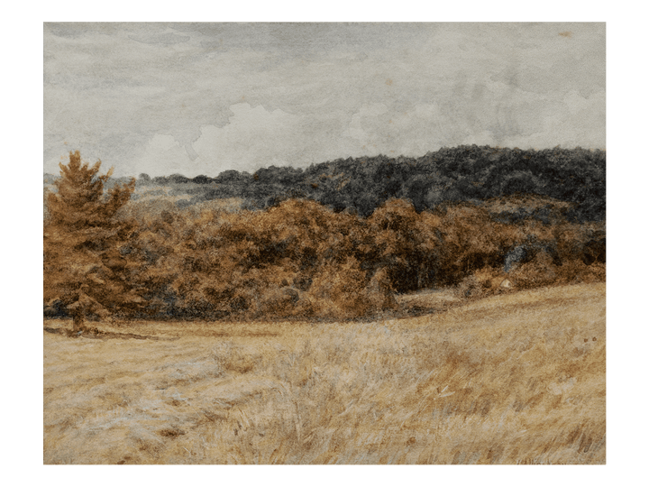 Golden Pasture