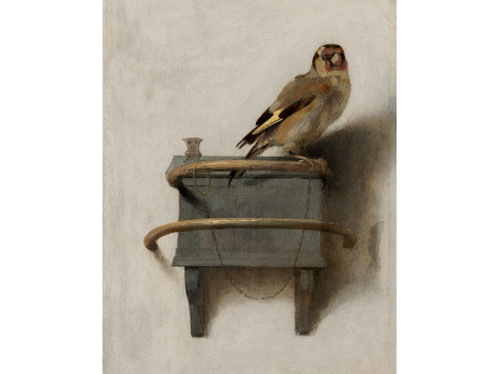 Goldfinch