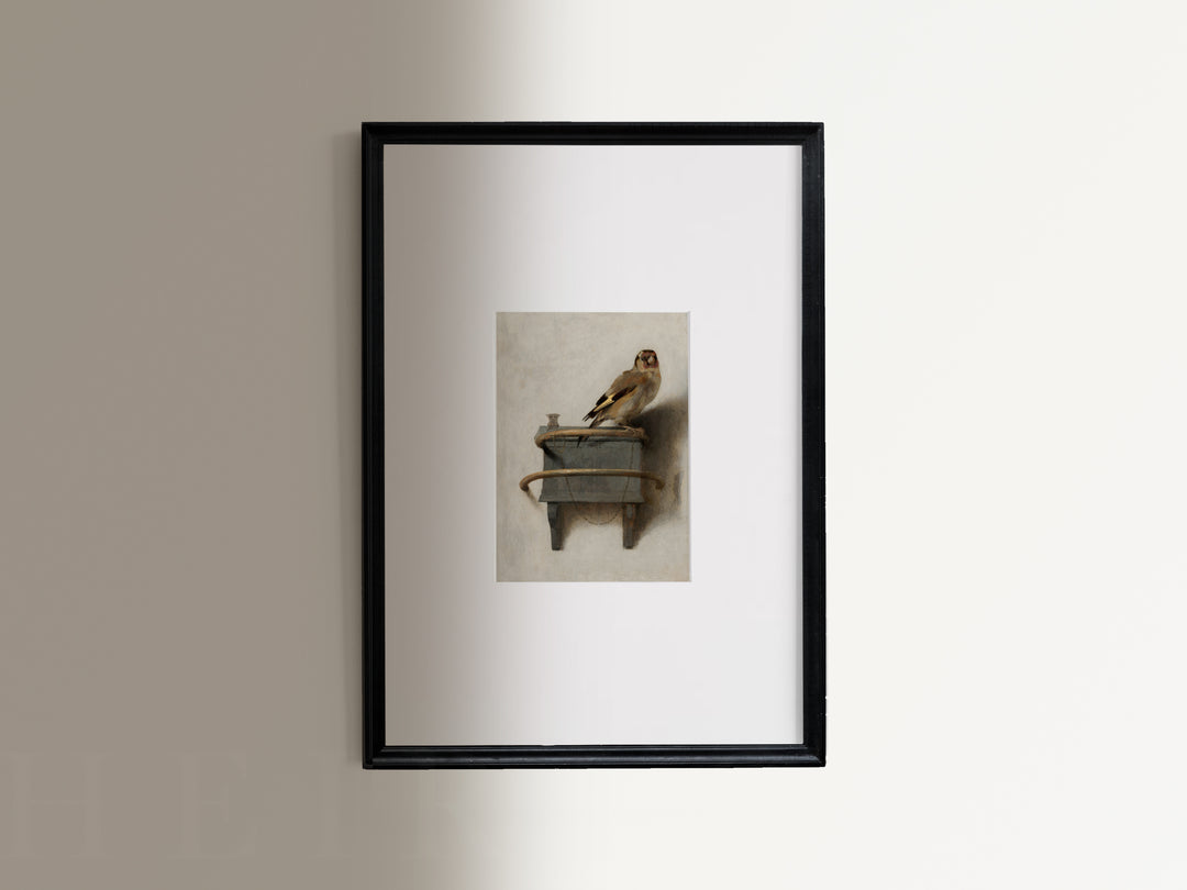 Goldfinch