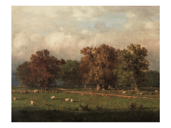 Grazing