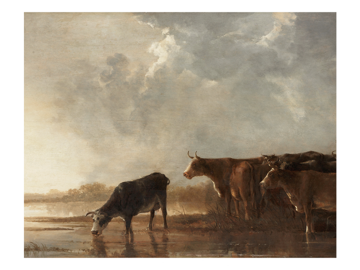 Herd