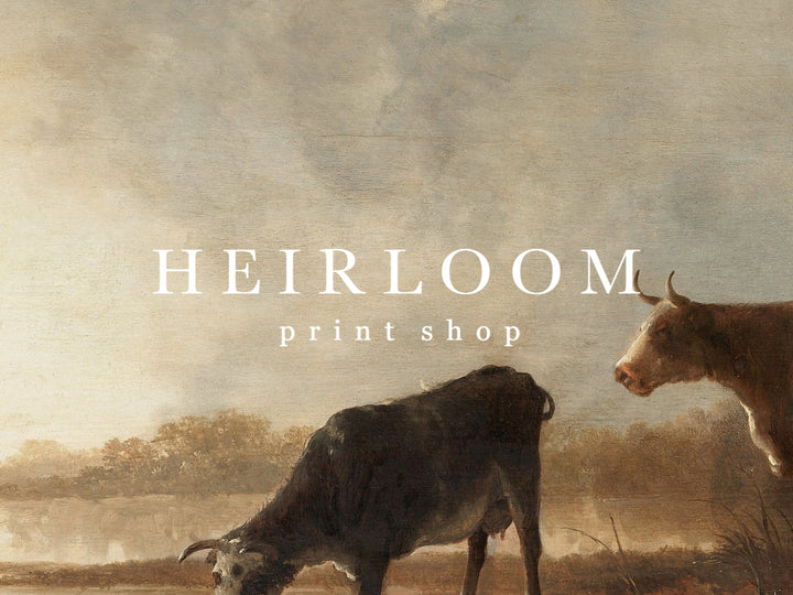 Herd