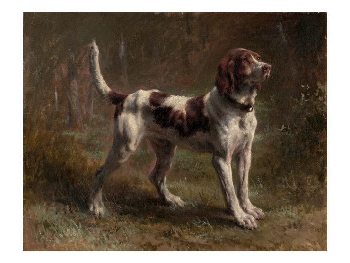 Hound