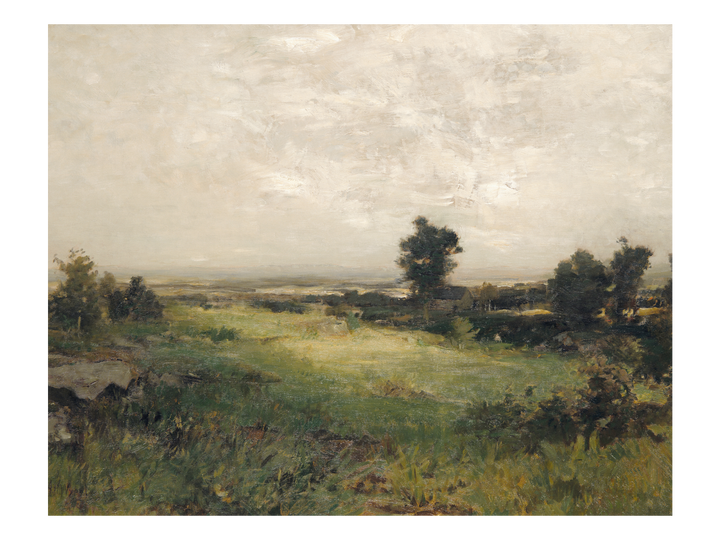Lowland