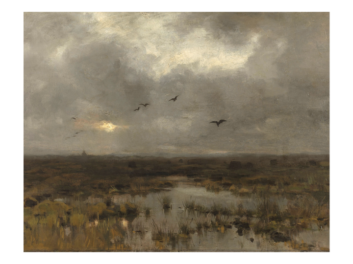 Marsh