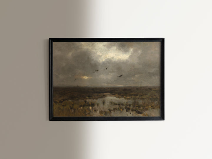 Marsh