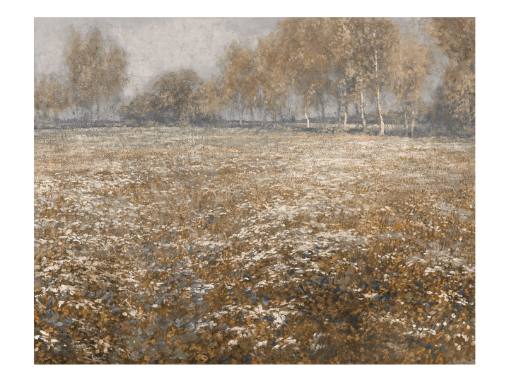 Meadow in Bloom