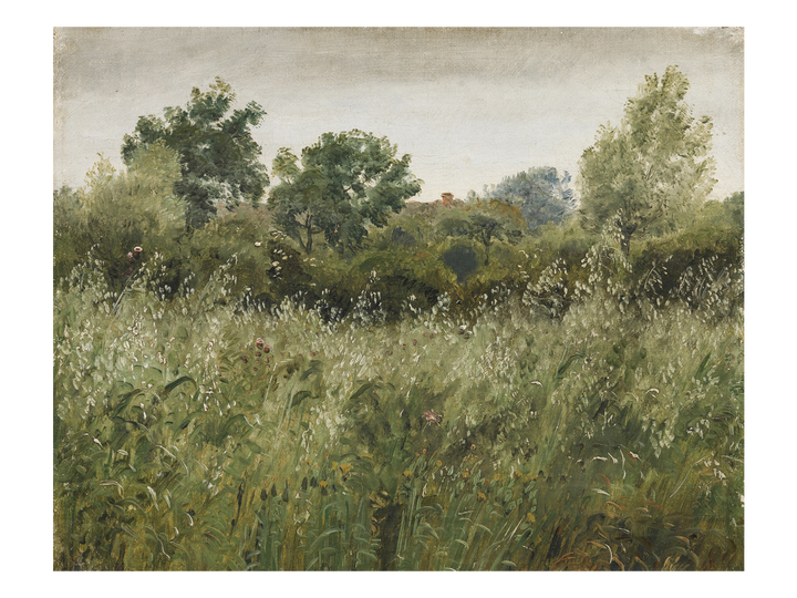 Oat Field II