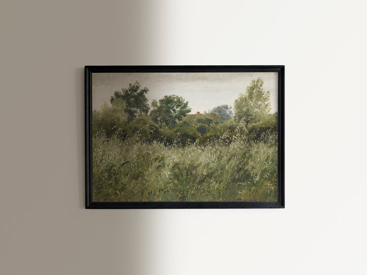 Oat Field II