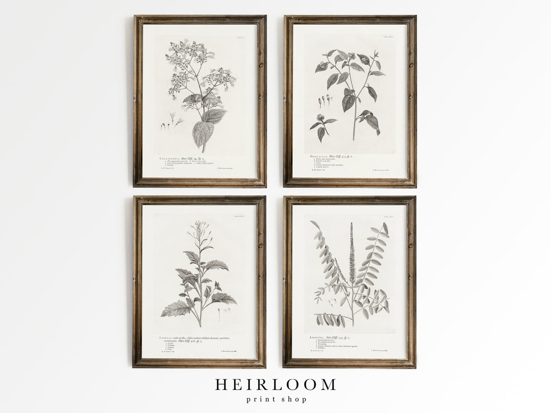 Oversized Botanicals