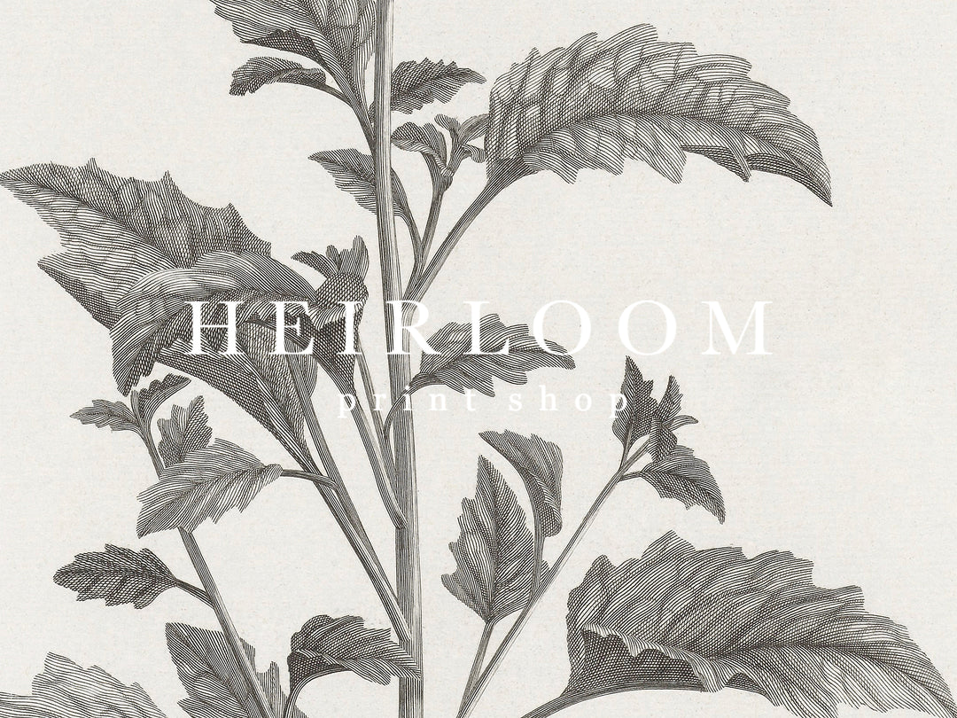 Oversized Botanicals