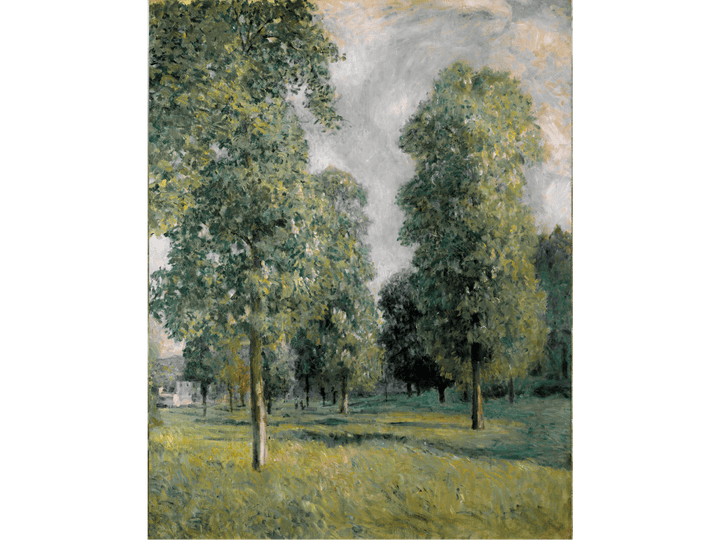 Park Trees
