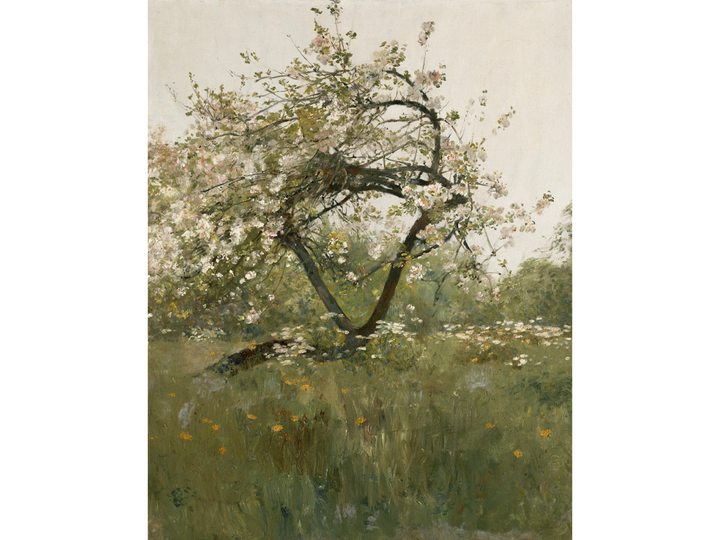 Peach Blossom