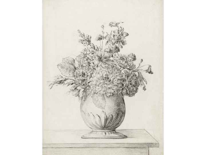 Perennials