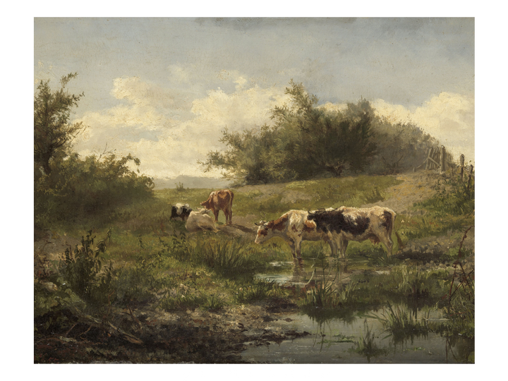 Pond