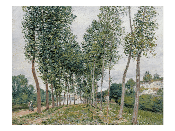 Poplar Avenue