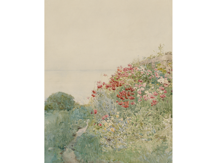 Poppy Field