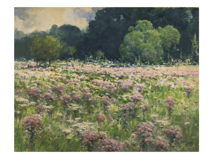 Purple Field