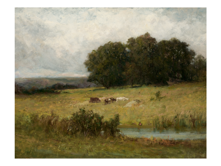 Scene