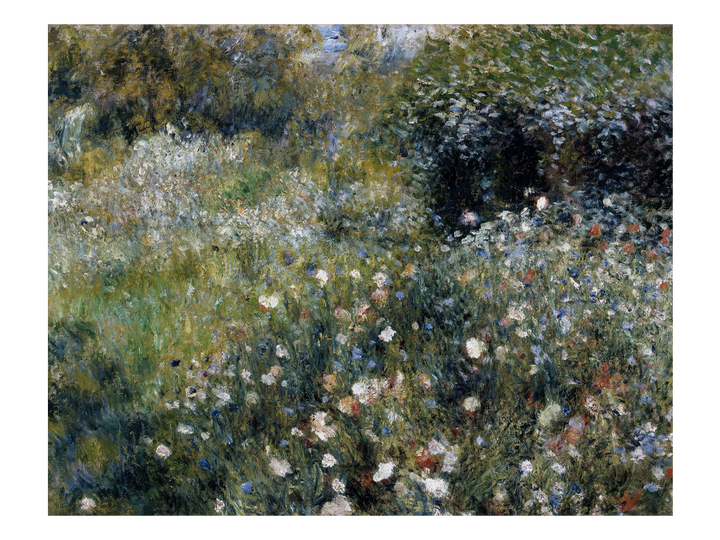 Secret Garden