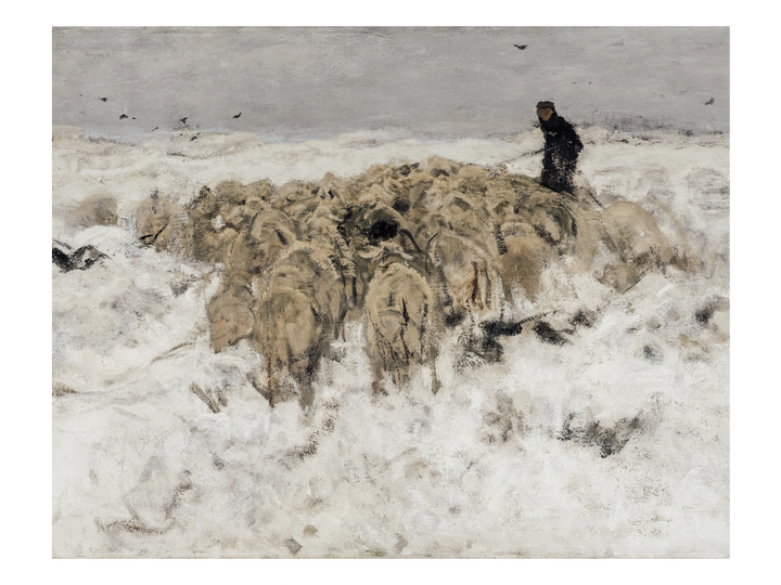 Snowy Flock